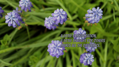 Akhuratha aquote-quotes-thought-consideration-difference Wall Poster Paper Print(12 inch X 18 inch, Rolled)
Akhuratha aquote-quotes-thought-consideration-difference Wall Poster Paper Print(12 inch X 18 inch, Rolled)