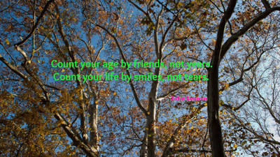 Akhuratha a-quote-quotes-friend-age-smile-tear Wall Poster Paper Print(12 inch X 18 inch, Rolled)
Akhuratha a-quote-quotes-friend-age-smile-tear Wall Poster Paper Print(12 inch X 18 inch, Rolled)