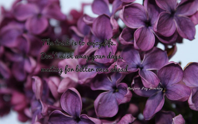 Akhuratha a-quote-quotes-day-wish Wall Poster Paper Print(12 inch X 18 inch, Rolled)
Akhuratha a-quote-quotes-day-wish Wall Poster Paper Print(12 inch X 18 inch, Rolled)