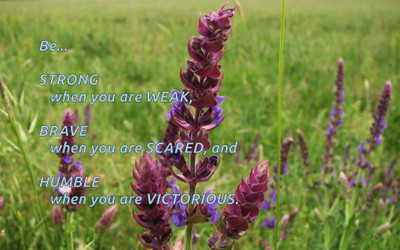 Akhuratha aquote-quotes-strength-weakness-scare-braveness-humbleness-victory Wall Poster Paper Print(12 inch X 18 inch, Rolled)
Akhuratha aquote-quotes-strength-weakness-scare-braveness-humbleness-victory Wall Poster Paper Print(12 inch X 18 inch, Rolled)