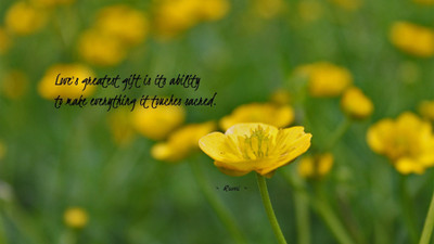 Akhuratha aquote-quotes-gift-sacred Wall Poster Paper Print(12 inch X 18 inch, Rolled)
Akhuratha aquote-quotes-gift-sacred Wall Poster Paper Print(12 inch X 18 inch, Rolled)