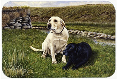 Caroline's Treasures Desk Artwork Mouse Pad - FRF0018MP Mousepad(Multicolor)
Caroline's Treasures Desk Artwork Mouse Pad - FRF0018MP Mousepad(Multicolor)