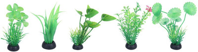 Jainsons Pet Products MINI PLANT COMBO 6 PCS Aquarium Plant Anchor({Plant Anchors5)
Jainsons Pet Products MINI PLANT COMBO 6 PCS Aquarium Plant Anchor({Plant Anchors5)