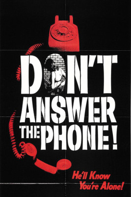 PW dont answer phone Wall Poster 13*19 inches Matte Finish Paper Print(19 inch X 13 inch, Rolled)