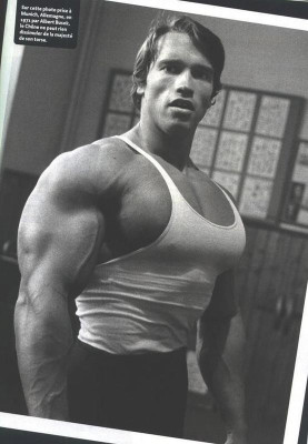 men arnold schwarzenegger trainingwall POSTER PRINT ON 13X19 INCHES Paper Print(19 inch X 13 inch, Rolled)
men arnold schwarzenegger trainingwall POSTER PRINT ON 13X19 INCHES Paper Print(19 inch X 13 inch, Rolled)