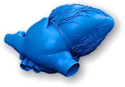 PROTOTYPE HUMAN HEART MODEL BLUE(Blue)
PROTOTYPE HUMAN HEART MODEL BLUE(Blue)