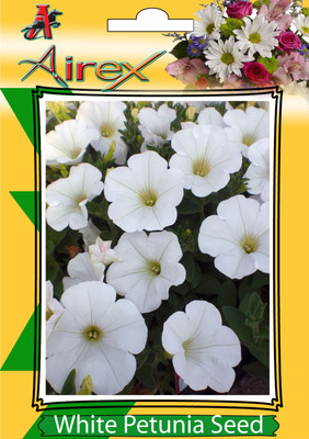 Airex White Petunia (Winter) Flower Seeds (1 Packet Of White Petunia) Pack Of 40 Seeds* 1 Per Packet Seed(40 per packet)
Airex White Petunia (Winter) Flower Seeds (1 Packet Of White Petunia) Pack Of 40 Seeds* 1 Per Packet Seed(40 per packet)