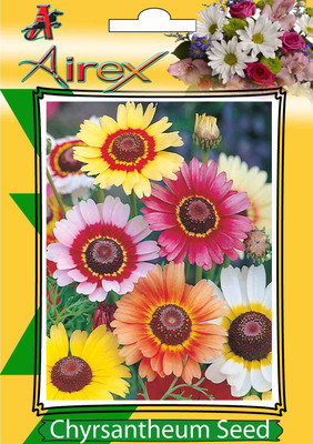 Airex Chyrsantheum (Winter) Flower seeds (3 Packet Of Chyrsantheum) Pack Of 40 Seeds * 3 Per Packet Seed(120 per packet)
Airex Chyrsantheum (Winter) Flower seeds (3 Packet Of Chyrsantheum) Pack Of 40 Seeds * 3 Per Packet Seed(120 per packet)