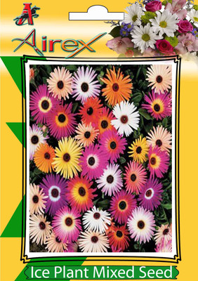 Airex Ice Plant Mixed (Winter) Flower Seeds (5 Packet Of Ice Plant Mixed) Pack Of 50 Seeds * 5 Per Packet Seed(250 per packet)
Airex Ice Plant Mixed (Winter) Flower Seeds (5 Packet Of Ice Plant Mixed) Pack Of 50 Seeds * 5 Per Packet Seed(250 per packet)
