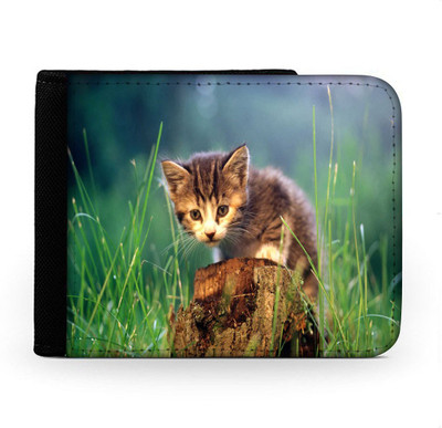 Snoogg Men Multicolor Canvas Wallet(6 Card Slots), Multi
Snoogg Men Multicolor Canvas Wallet(6 Card Slots), Multi