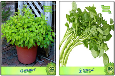 Creative Farmer Herb 2 In 1 Combo Lemon Balm, Water Cress Herb Seeds Combo Pack By Creative Farmer Seed(2 per packet)
Creative Farmer Herb 2 In 1 Combo Lemon Balm, Water Cress Herb Seeds Combo Pack By Creative Farmer Seed(2 per packet)