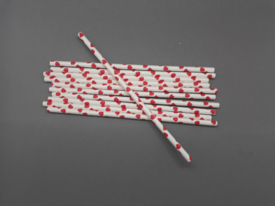 Aadya Crafts Colourful Straw 2