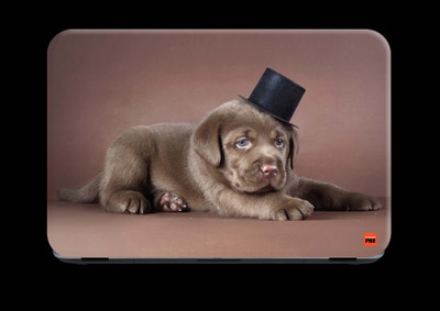 STICKER PRO Animals_158 Premium LG Vinyl (matte) Laptop Decal 15.6