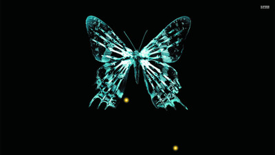 Wall Poster a/-fringes Paper Print(12 inch X 18 inch, Rolled)