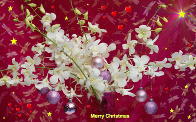 Akhuratha Anime christmas-happys Wall Poster Paper Print(12 inch X 18 inch, Rolled)
Akhuratha Anime christmas-happys Wall Poster Paper Print(12 inch X 18 inch, Rolled)