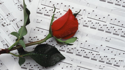symphony-rose-night-opening-pictures Wall Poster Paper Print(12 inch X 18 inch, Rolled)
symphony-rose-night-opening-pictures Wall Poster Paper Print(12 inch X 18 inch, Rolled)