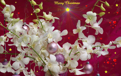 Akhuratha Anime christmas-screensavers Wall Poster Paper Print(12 inch X 18 inch, Rolled)
Akhuratha Anime christmas-screensavers Wall Poster Paper Print(12 inch X 18 inch, Rolled)