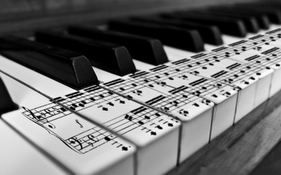 Akhuratha music-alphacoders-piano Wall Poster Paper Print(12 inch X 18 inch, Rolled)
Akhuratha music-alphacoders-piano Wall Poster Paper Print(12 inch X 18 inch, Rolled)