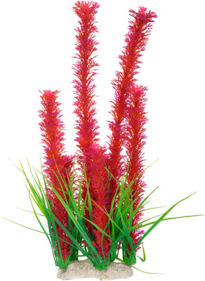 Liger India Aquarium/ Fish Tank Decorative Artificial Plant Laterite Planted Substrate(Maroon)
Liger India Aquarium/ Fish Tank Decorative Artificial Plant Laterite Planted Substrate(Maroon)