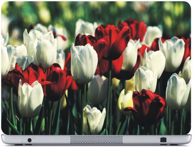 PRINTAXA EX160 VINYL Laptop Decal 15.6