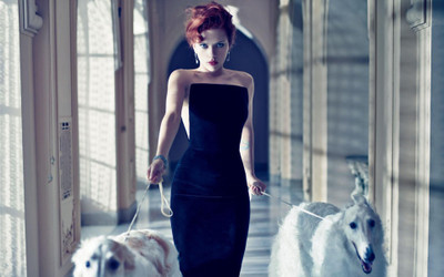 Akhuratha Wall Poster Celebrity Scarlett Johansson Actresses Paper Print(12 inch X 18 inch, Rolled)
Akhuratha Wall Poster Celebrity Scarlett Johansson Actresses Paper Print(12 inch X 18 inch, Rolled)