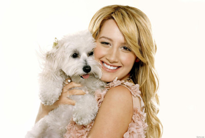 Celebrity Ashley Tisdale Actresses United States HD Wall Poster Photographic Paper(12 inch X 18 inch, Rolled)
Celebrity Ashley Tisdale Actresses United States HD Wall Poster Photographic Paper(12 inch X 18 inch, Rolled)