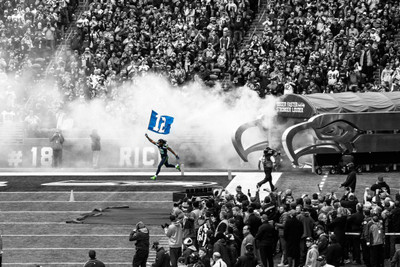 Akhuratha Poster Sports Seattle Seahawks Football HD Wallpaper Background Fine Art Print(12 inch X 18 inch, Rolled)