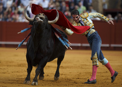 Akhuratha Poster Sports Bullfighting HD Wallpaper Background Fine Art Print(12 inch X 18 inch, Rolled)
Akhuratha Poster Sports Bullfighting HD Wallpaper Background Fine Art Print(12 inch X 18 inch, Rolled)