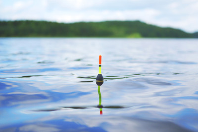 Akhuratha Poster Sports Fishing Bobber Lake Reflection Sport HD Wallpaper Background Fine Art Print(12 inch X 18 inch, Rolled)
Akhuratha Poster Sports Fishing Bobber Lake Reflection Sport HD Wallpaper Background Fine Art Print(12 inch X 18 inch, Rolled)