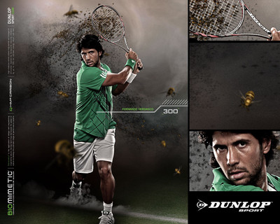 Sports Fernando Verdasco Tennis Wall Poster Paper Print(12 inch X 18 inch, Rolled)
Sports Fernando Verdasco Tennis Wall Poster Paper Print(12 inch X 18 inch, Rolled)