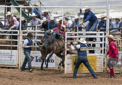 Akhuratha Poster Sports Rodeo Horse Sport Cowboy HD Wallpaper Background Fine Art Print(12 inch X 18 inch, Rolled)
Akhuratha Poster Sports Rodeo Horse Sport Cowboy HD Wallpaper Background Fine Art Print(12 inch X 18 inch, Rolled)
