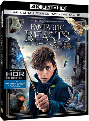Fantastic Beasts and Where to Find Them (4K UHD and HD)(4K(UHD) Blu-ray English)