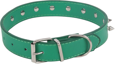 Sri 20 cm Dog Strap Leash(Green)