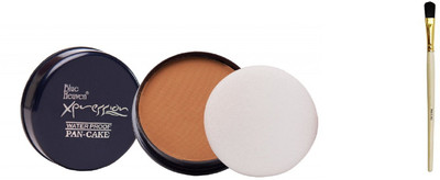Blue Heaven pan cake concealer-peech delight with pan cake brush(Set of 2)