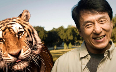 Celebrity Jackie Chan Actors China HD Wall Poster Fine Art Print(12 inch X 18 inch, Rolled)
Celebrity Jackie Chan Actors China HD Wall Poster Fine Art Print(12 inch X 18 inch, Rolled)