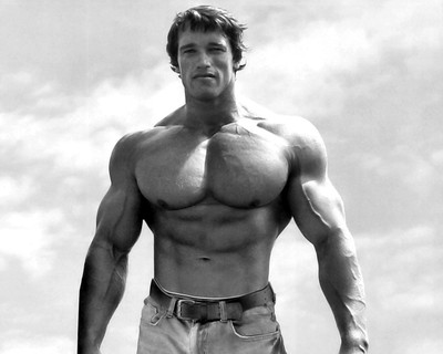 Celebrity Arnold Schwarzenegger Actors Austria HD Wall Poster Fine Art Print(12 inch X 18 inch, Rolled)
Celebrity Arnold Schwarzenegger Actors Austria HD Wall Poster Fine Art Print(12 inch X 18 inch, Rolled)