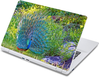 ezyPRNT Dancing Peacock (13 to 13.9 inch) Vinyl Laptop Decal 13