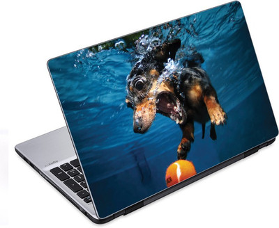 ezyPRNT Under water Sports Pet Animal (14 to 14.9 inch) Vinyl Laptop Decal 14
ezyPRNT Under water Sports Pet Animal (14 to 14.9 inch) Vinyl Laptop Decal 14