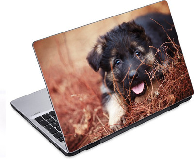 ezyPRNT Black Dog Pet Animal (14 to 14.9 inch) Vinyl Laptop Decal 14
