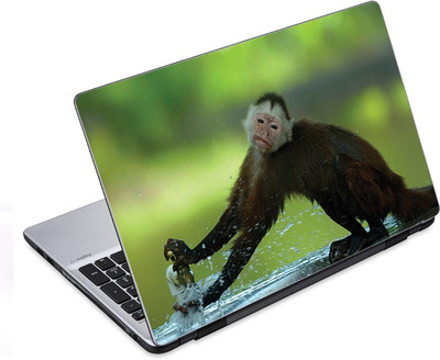 ezyPRNT Monkey Tapping Wildlife (14 to 14.9 inch) Vinyl Laptop Decal 14