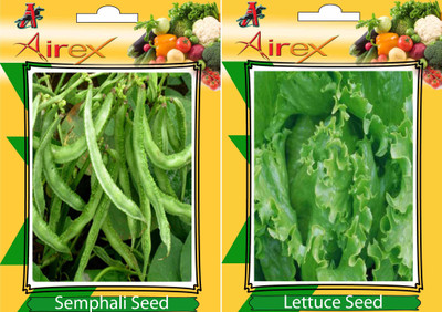 Airex Semphali and Lettuce Vegetables Seed (Pack Of 25 Seed * 2 Per Packet) Seed(25 per packet)
Airex Semphali and Lettuce Vegetables Seed (Pack Of 25 Seed * 2 Per Packet) Seed(25 per packet)
