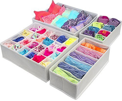 Orril Lingerie Storage Case(Bra and Panty, Pack of 4)