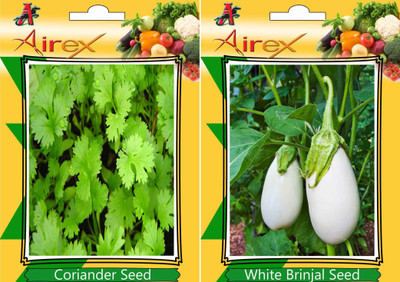 Airex Coriander and White Round Brinjal Vegetables Seed + Humic Acid Fertilizer (For Growth of All Plant and Better Responce) 15 gm Humic Acid + Pack Of 30 Seed Coriander + 30 White Round Brinjal Seed(30 per packet)
Airex Coriander and White Round Brinjal Vegetables Seed + Humic Acid Fertilizer (For Growth of All Plant and Better Responce) 15 gm Humic Acid + Pack Of 30 Seed Coriander + 30 White Round Brinjal Seed(30 per packet)