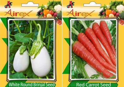 Airex White Round Brinjal and Red Carrot Vegetables Seeds (Pack Of 20 Seeds * 2 Per Packet) Seed(20 per packet)