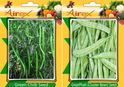 Airex Green Chilli, Cluster Bean Seed(20 per packet)