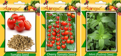 Airex Tomato, Mint and Cherry Tomato Vegetables Seed (Pack of 20 seed Tomato + 20 Mint + 20 Cherry Tomato Seed) Seed(20 per packet)
Airex Tomato, Mint and Cherry Tomato Vegetables Seed (Pack of 20 seed Tomato + 20 Mint + 20 Cherry Tomato Seed) Seed(20 per packet)