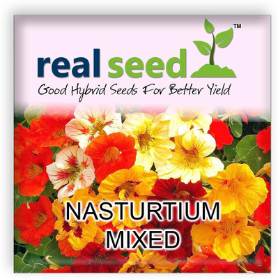 Real Seed Real Seed Nasturtium Mixed Hybrid Imported Flower Seeds Seed(10 per packet)
Real Seed Real Seed Nasturtium Mixed Hybrid Imported Flower Seeds Seed(10 per packet)