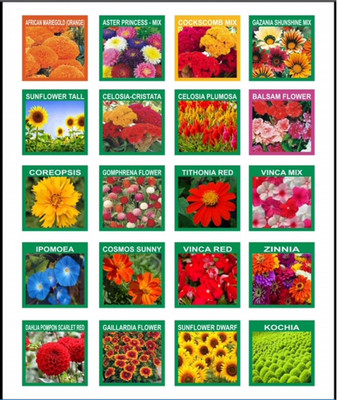 Sahaya 20 Varieties of Flower Seeds Seed(20 packet)