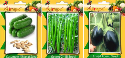 Airex Cucumber, Brinjal Round and Green Chilli Vegetables Seed (Pack Of 15 Seed Cucumber + 15 Brinjal Round+ 15 Green Chilli Seed) Seed(15 per packet)
Airex Cucumber, Brinjal Round and Green Chilli Vegetables Seed (Pack Of 15 Seed Cucumber + 15 Brinjal Round+ 15 Green Chilli Seed) Seed(15 per packet)