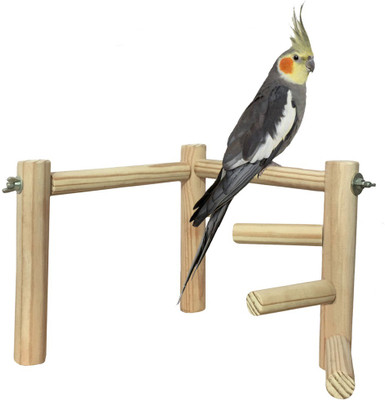 Sage Square 8 Inches Training Gym cum Exercise Stand with 3 Stations Natural Wood Playful Perch Bird Stand / Toy for Healthy and Active Bird Wooden Training Aid, Stick For Bird
Sage Square 8 Inches Training Gym cum Exercise Stand with 3 Stations Natural Wood Playful Perch Bird Stand / Toy for Healthy and Active Bird Wooden Training Aid, Stick For Bird
